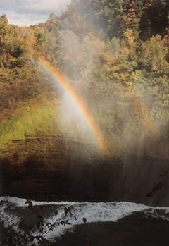 [lrainbow.jpg]