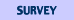[SURVEY]