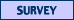 [{SURVEY}]